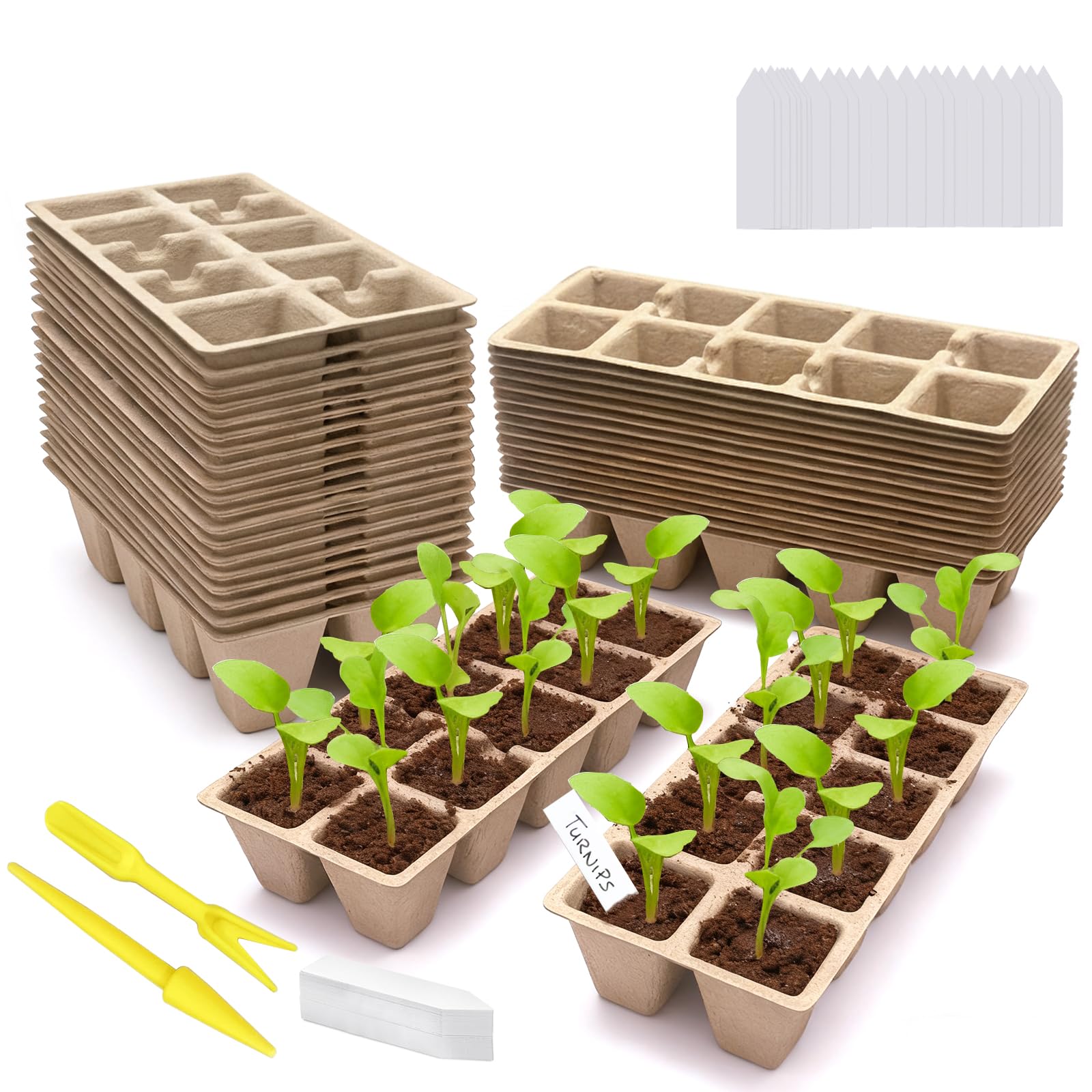 Kimdozee 360 cell seed starter tray showing uniform planting cells for steady germination