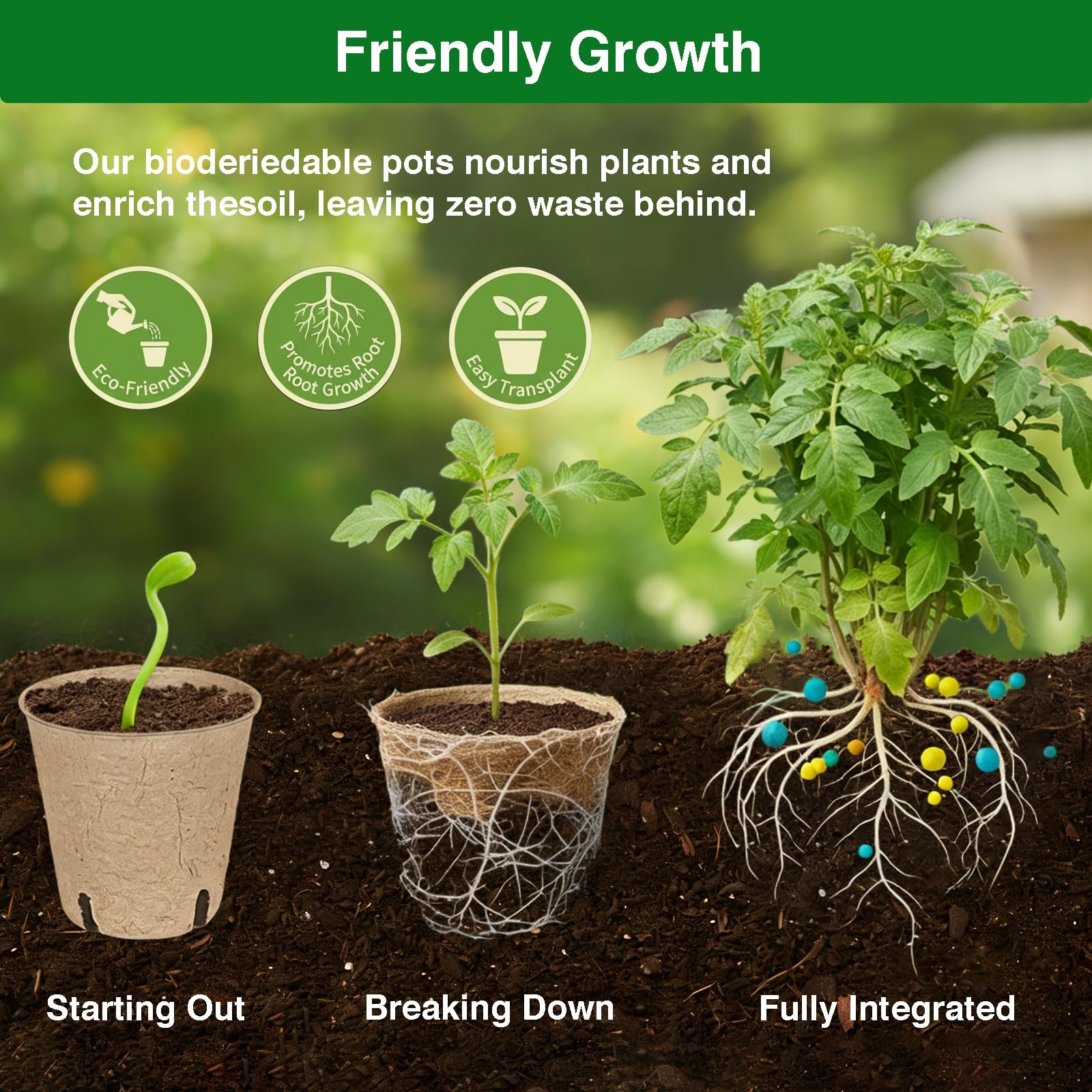 Kimdozee mini transplant tools smooth handling for gentle moves from pot to soil
