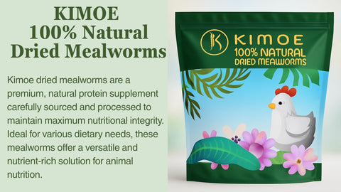 Ducks enjoying Kimoe mealworms to support egg quality.