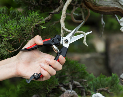 Kimura 8-Inch Pro pruning scissors locking mechanism for quick secure closure.