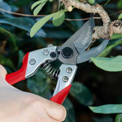 Kimura Pro Bypass Shears suitable for both left and right-handed users