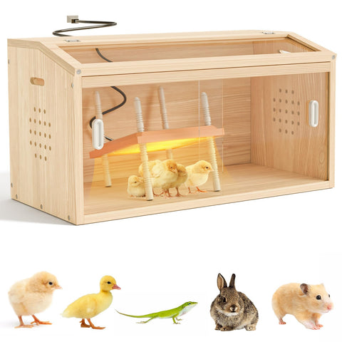 Kinchoix Brooder Box interior view with ample space for growing chicks.