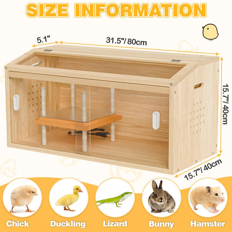 Kinchoix Brooder Box multi-species nursery supports chicks, ducklings, and more.