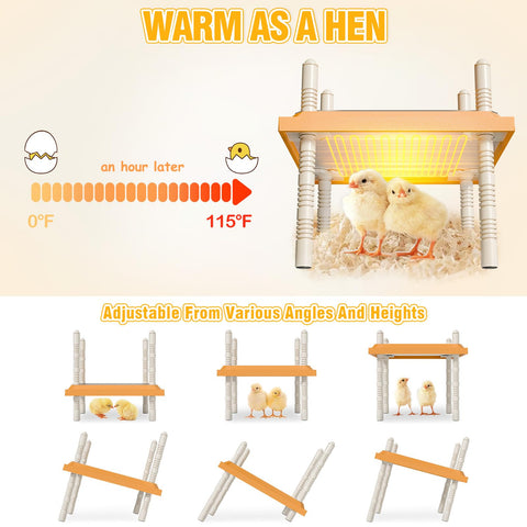 Kinchoix Brooder Box skylight and vents ensure fresh air circulation.