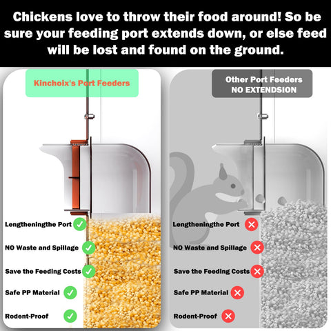 Kinchoix large-capacity feeder in use with multiple birds for fair access.