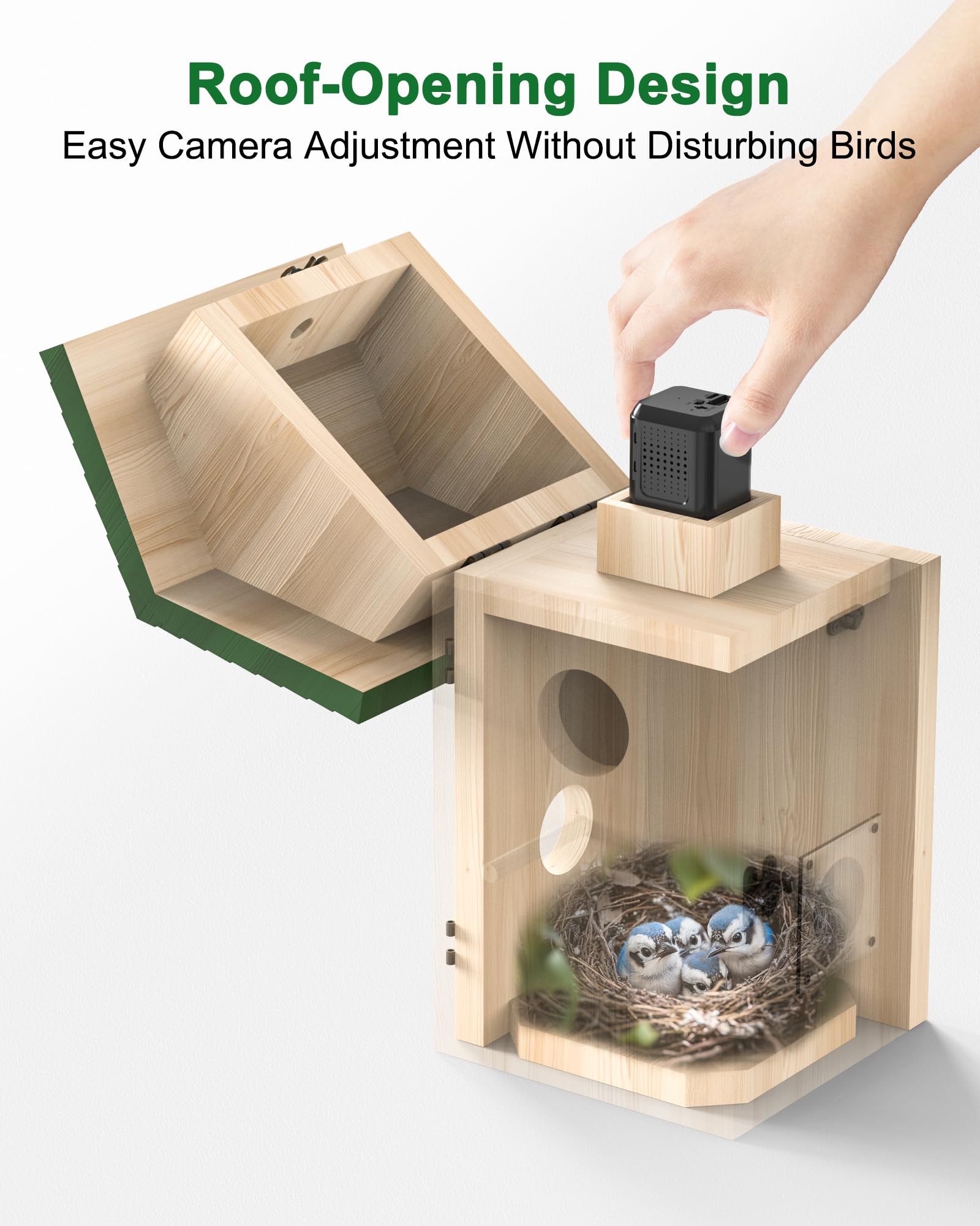 KinetCam 2K HD video captures day and night bird activity