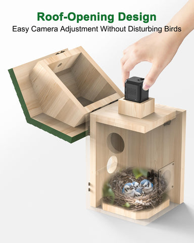 KinetCam 2K HD video captures day and night bird activity