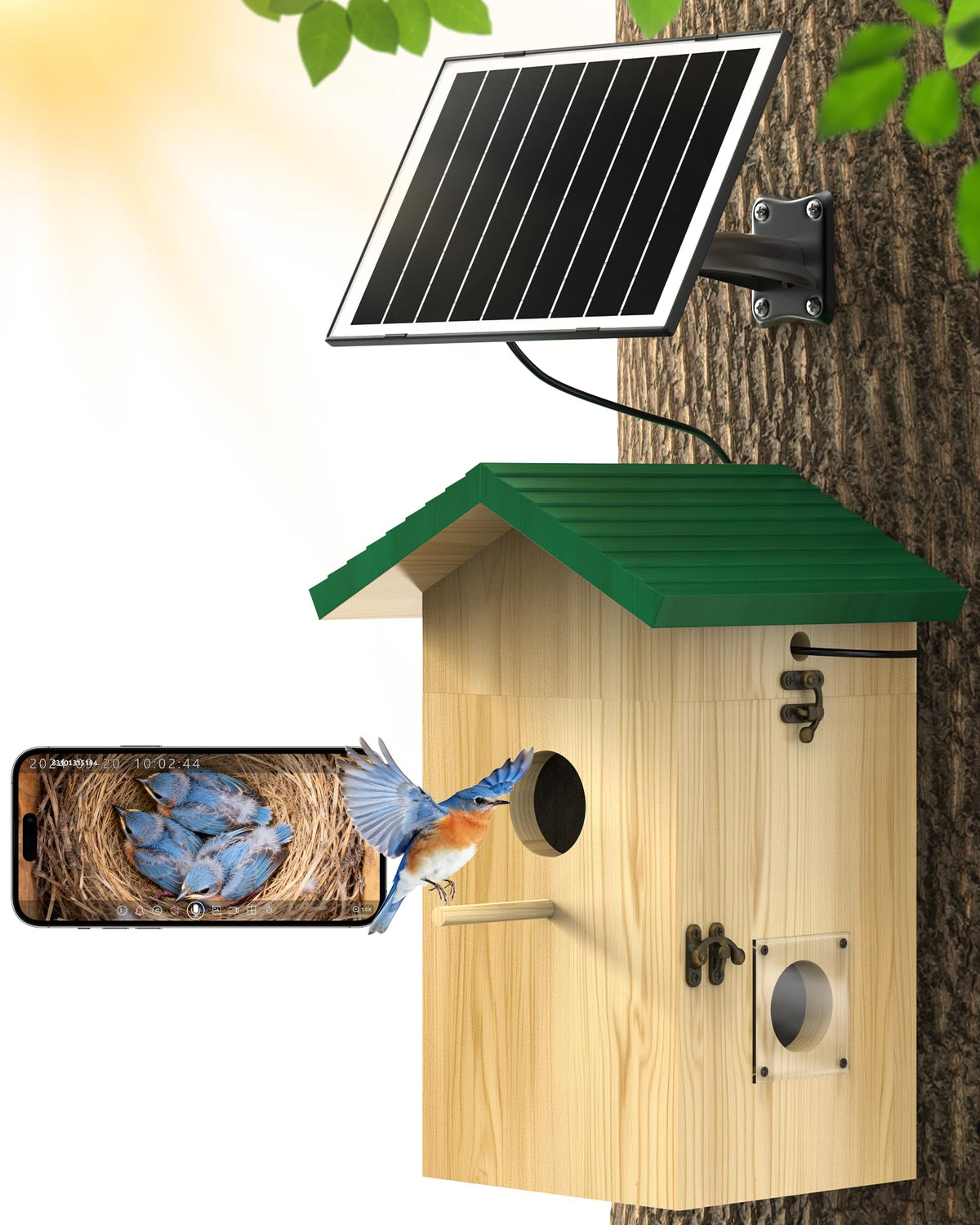 KinetCam birdhouse camera compartment for adjustable viewing without disturbing birds