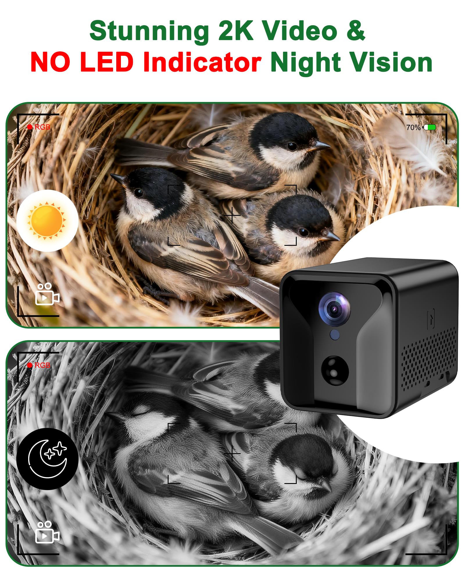 KinetCam motion alerts notify you of bird activity on your phone
