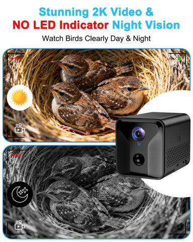 KinetCam night time design with no external lights to avoid disturbance.