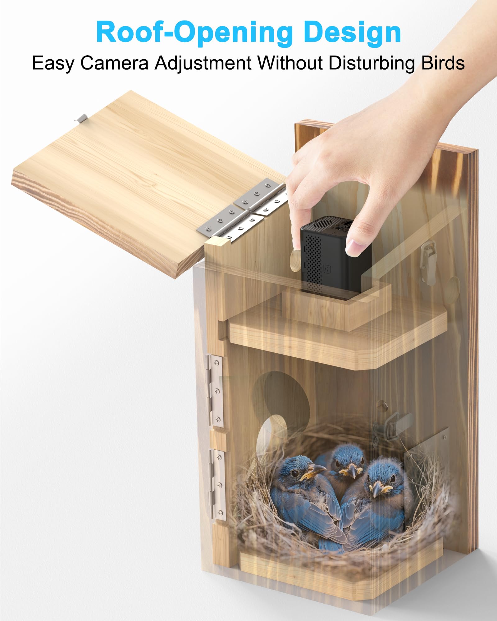 KinetCam PIR motion detection sends alerts for bird activity.