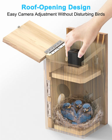 KinetCam PIR motion detection sends alerts for bird activity.