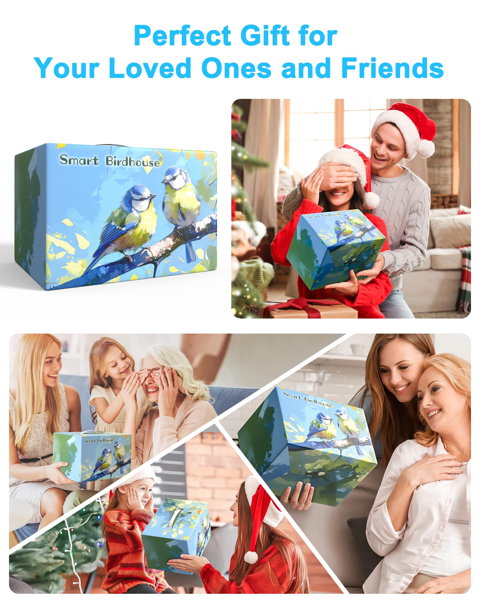 KinetCam makes a thoughtful gift for bird lovers and outdoor enthusiasts.