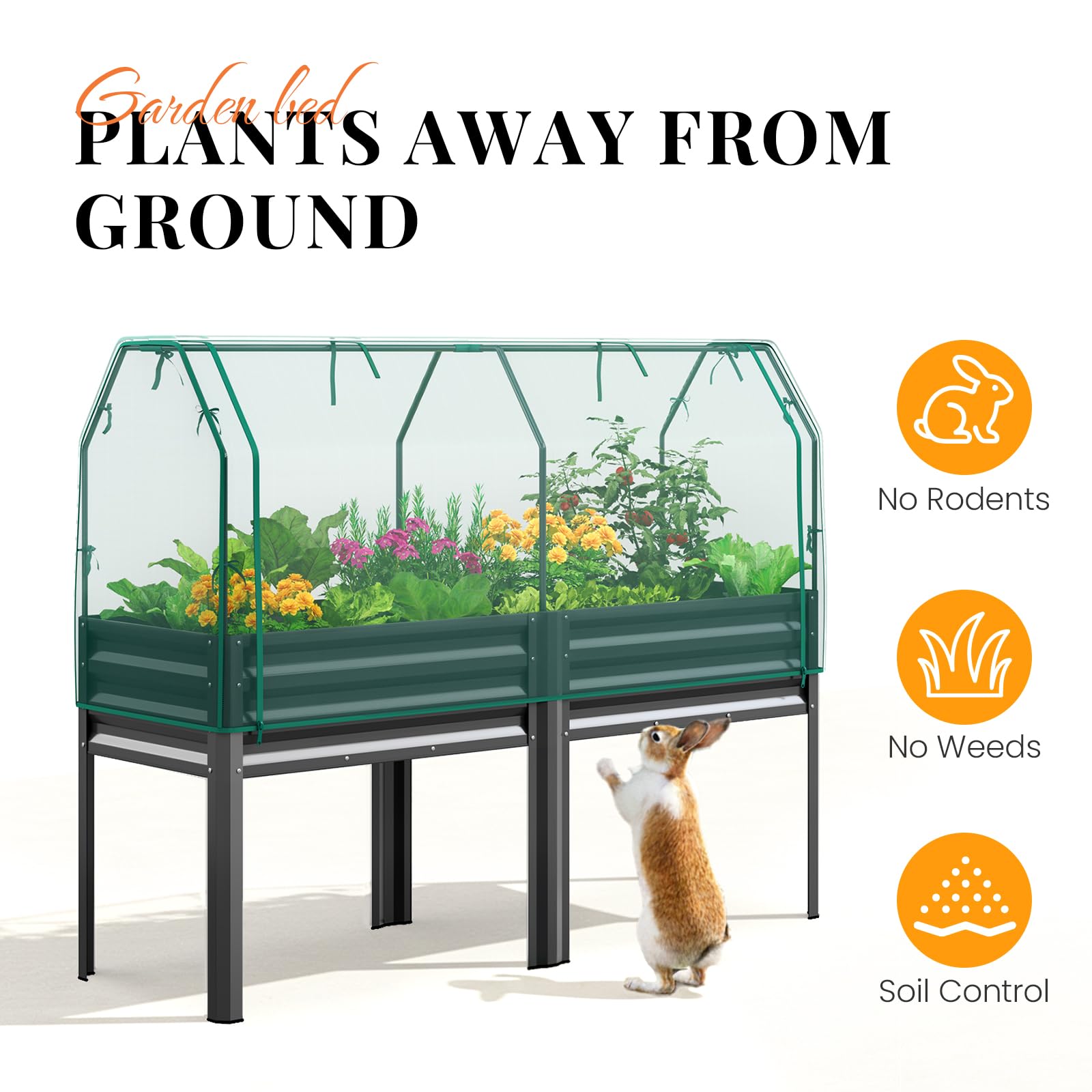 KING BIRD deep 11.8-inch raised bed creates roomy root space