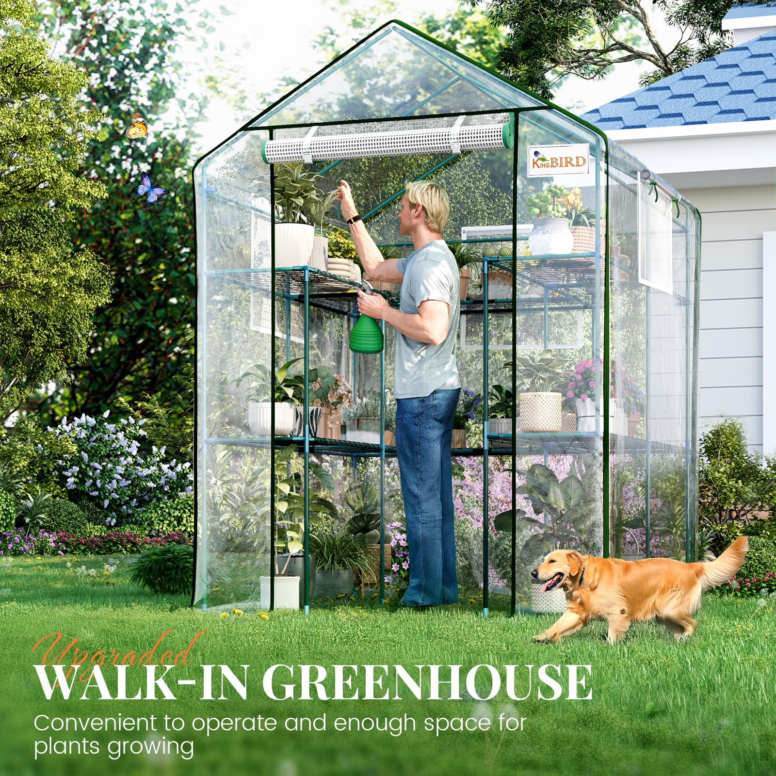 King Bird 1-year care service offers trusted support for outdoor gardening.