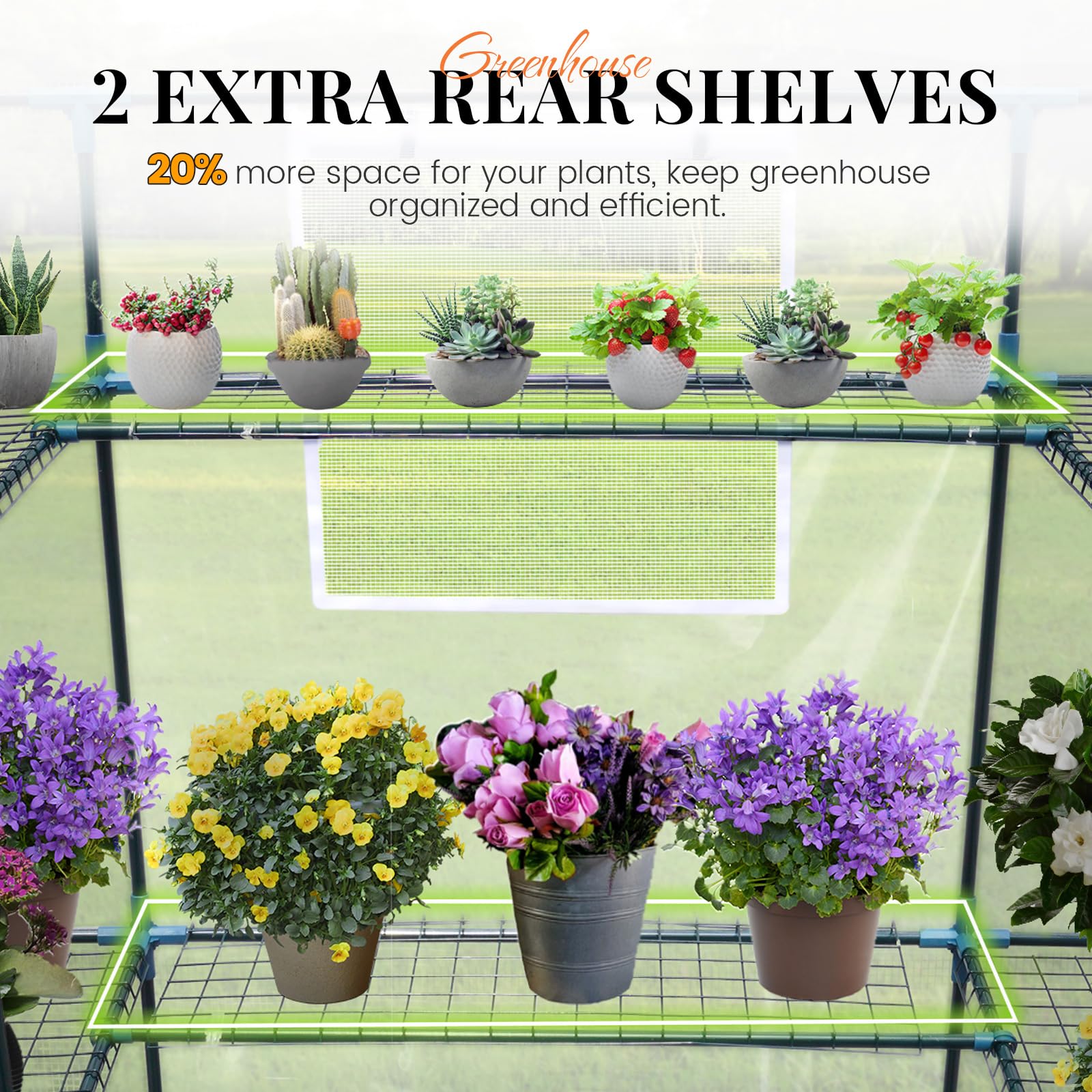 King Bird greenhouse with 3 tiers and 14 shelves for organized seedlings.