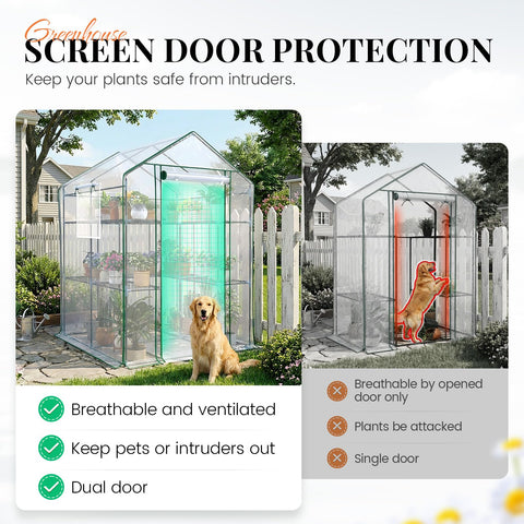 King Bird ventilation with mesh windows regulates temperature and humidity.