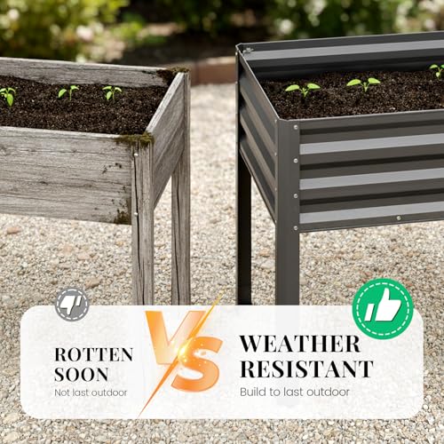 King Bird versatile indoor/outdoor use for flexible gardening.