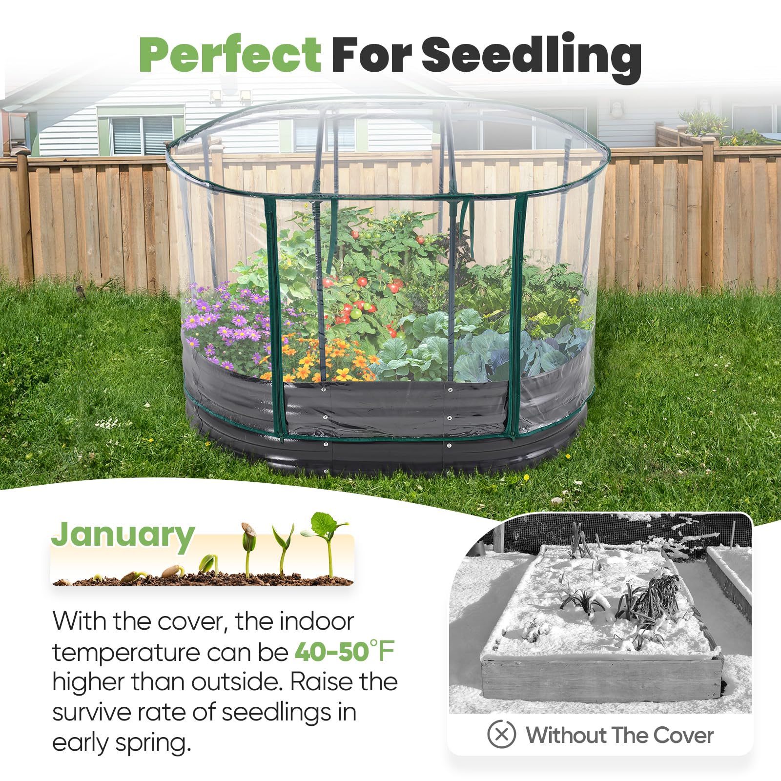  KING BIRD oval archive frame interior space for tomato and pepper growth