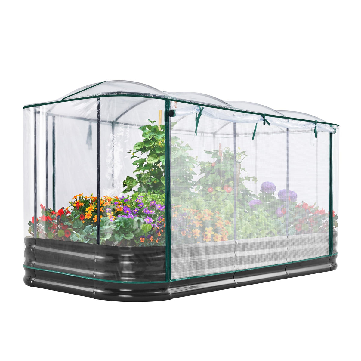King Bird raised garden bed with cover enables light to reach seedlings and protect early crops.