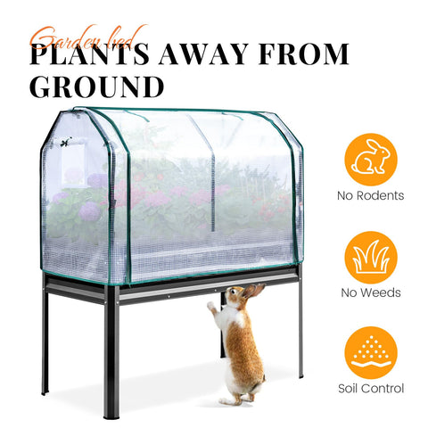 King Bird two mesh windows protect plants while ensuring airflow.