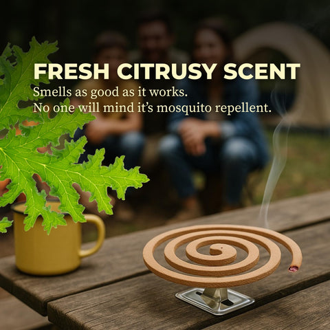 King Mosquito Coil Holder Japan supports convenient coil setup