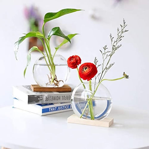 Kingbuy 2-pack packaging and stands, ready-made gift for plant lovers.