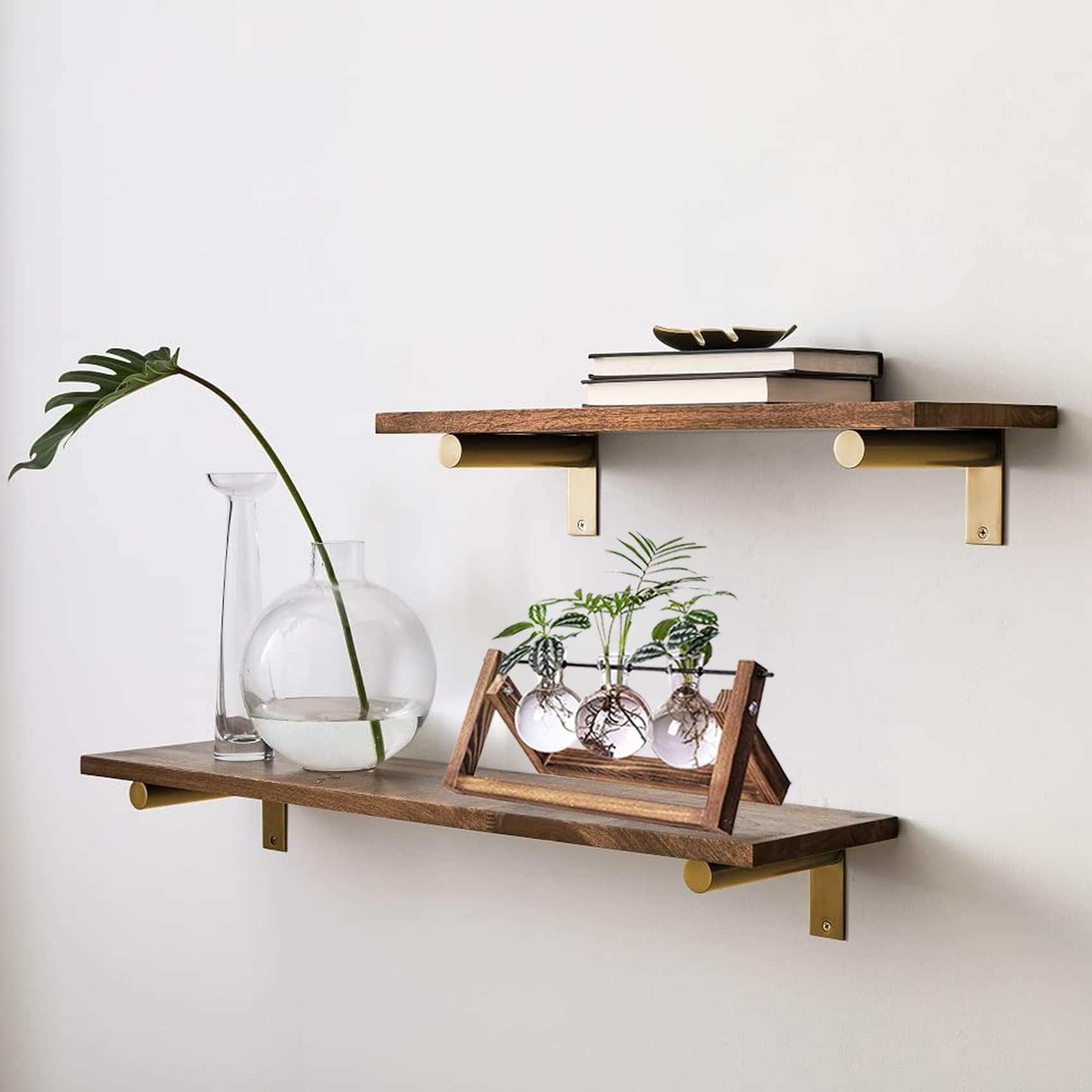 Kingbuy gift-ready terrarium set for plant lovers.