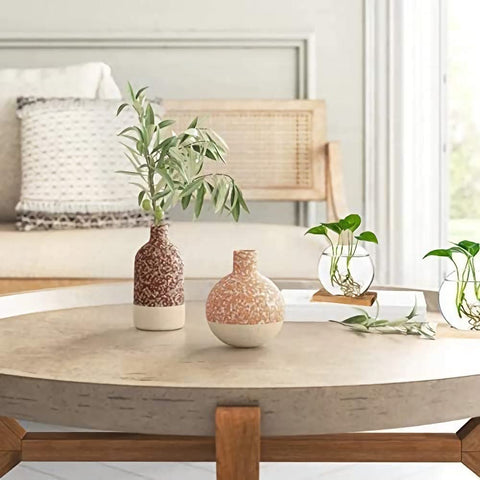 Kingbuy hydroponic-friendly planter with spider plant setup on a desk.