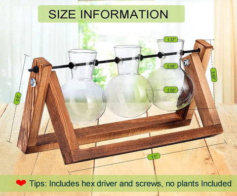 Kingbuy clear bulb enables water-root observation for easy care.