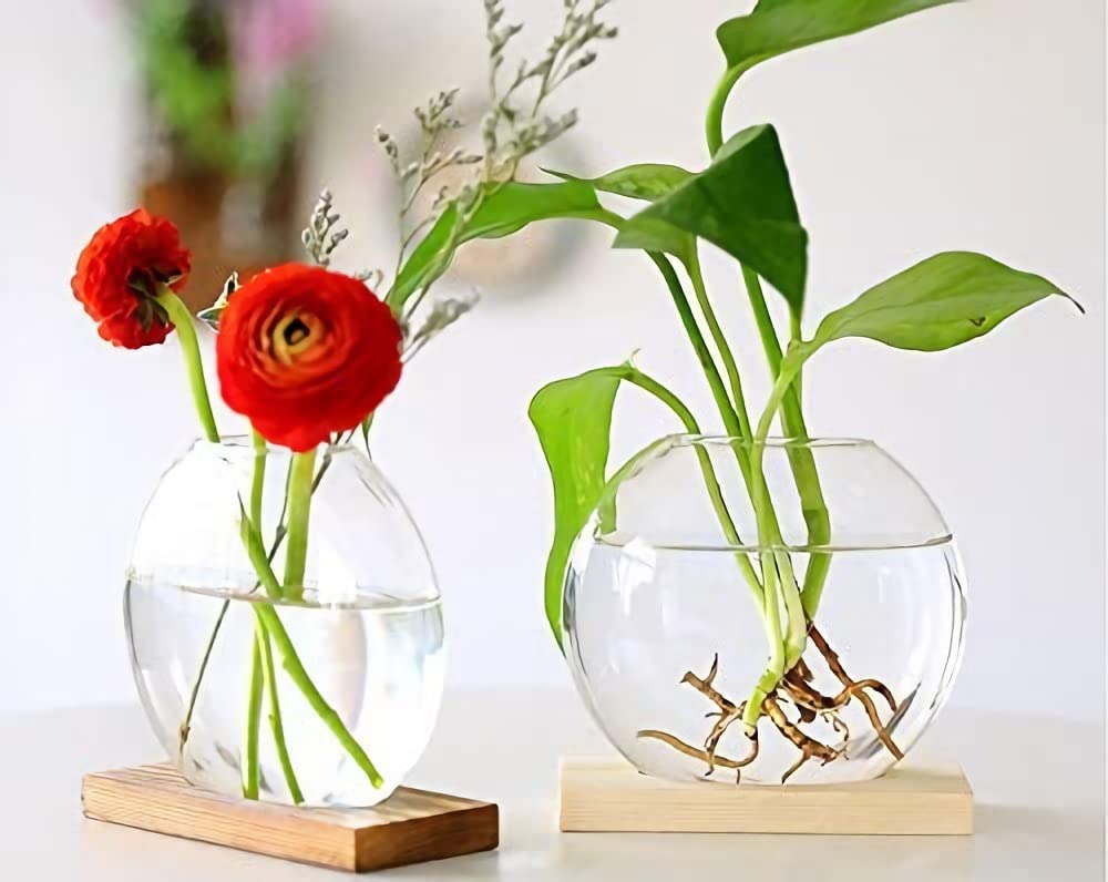 Kingbuy removable glass vase for easy cleaning and refilling.