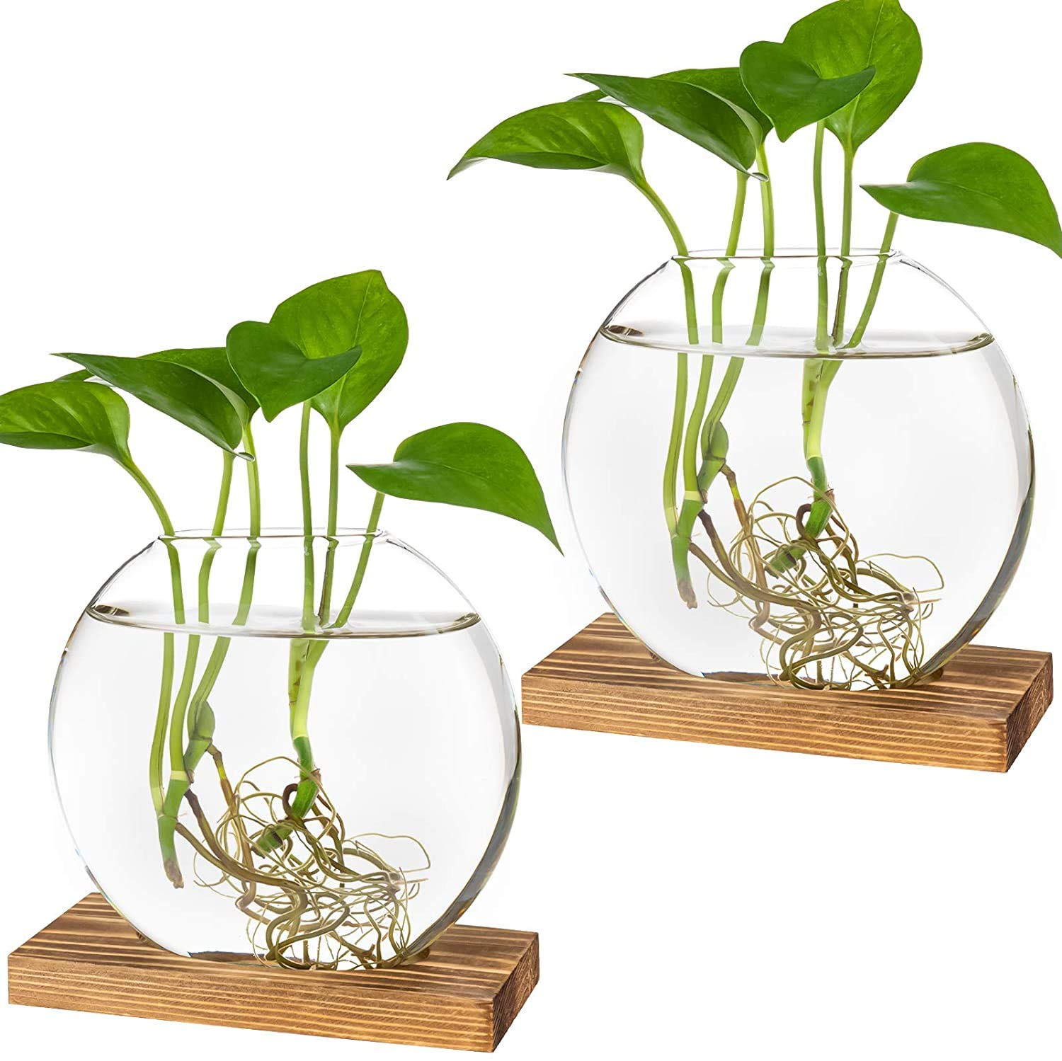 Kingbuy round glass planter with wooden stand, side view, ideal desktop accent.
