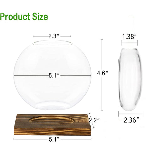 Kingbuy terrarium vase in office setting, adds greenery and calm ambiance.