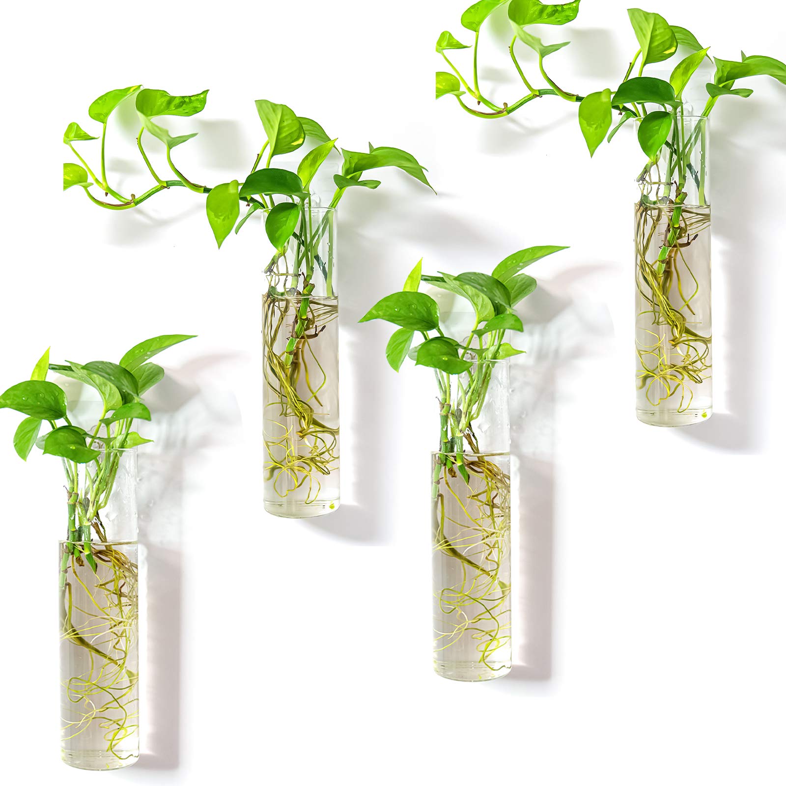 Kingbuy wall-mounted terrarium with four glass tubes for stylish hydroponics.