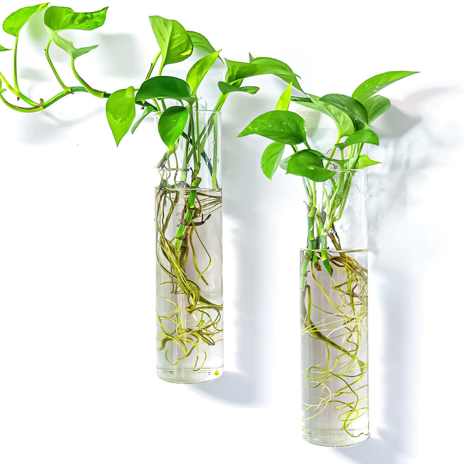 Kingbuy two-tube glass terrarium on wall for stylish indoor hydroponics.