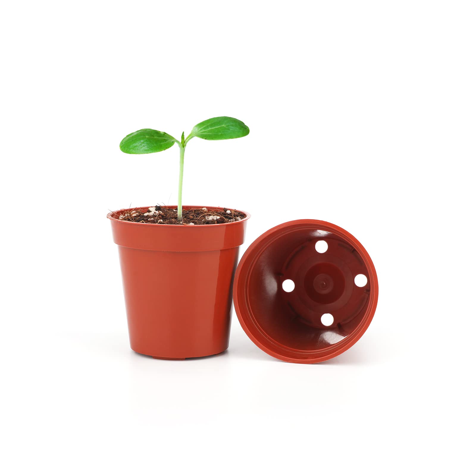 Kinglake 100-pcs seedling pots brick red, ideal for starters and propagation projects