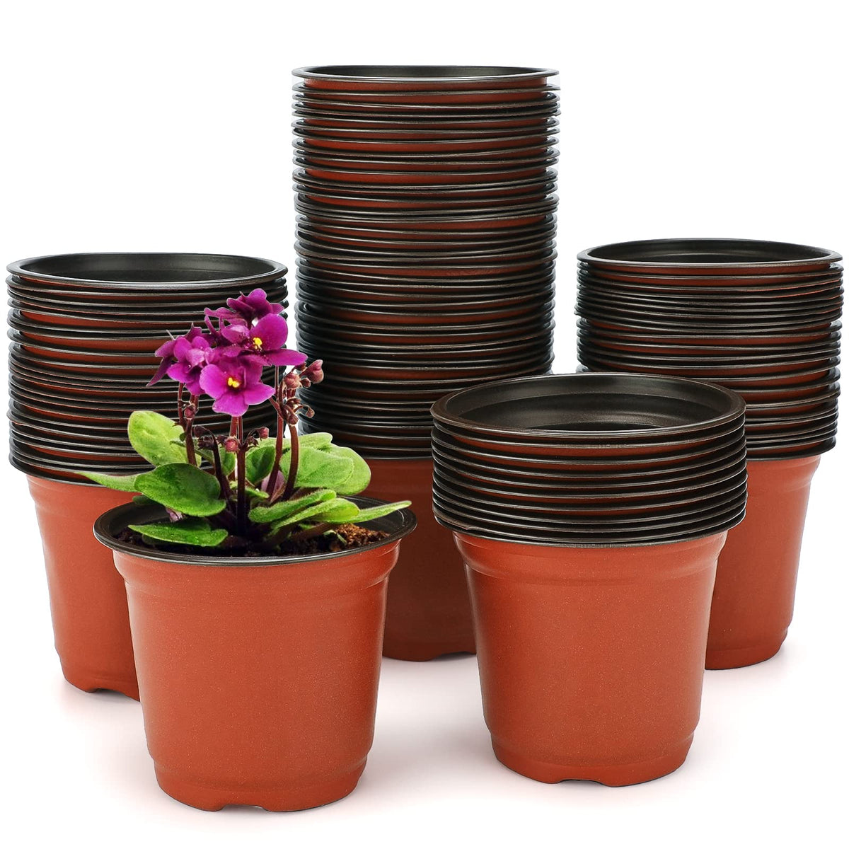 KINGLAKE 4-inch plastic nursery pot, top view, ideal for batch seed starting.