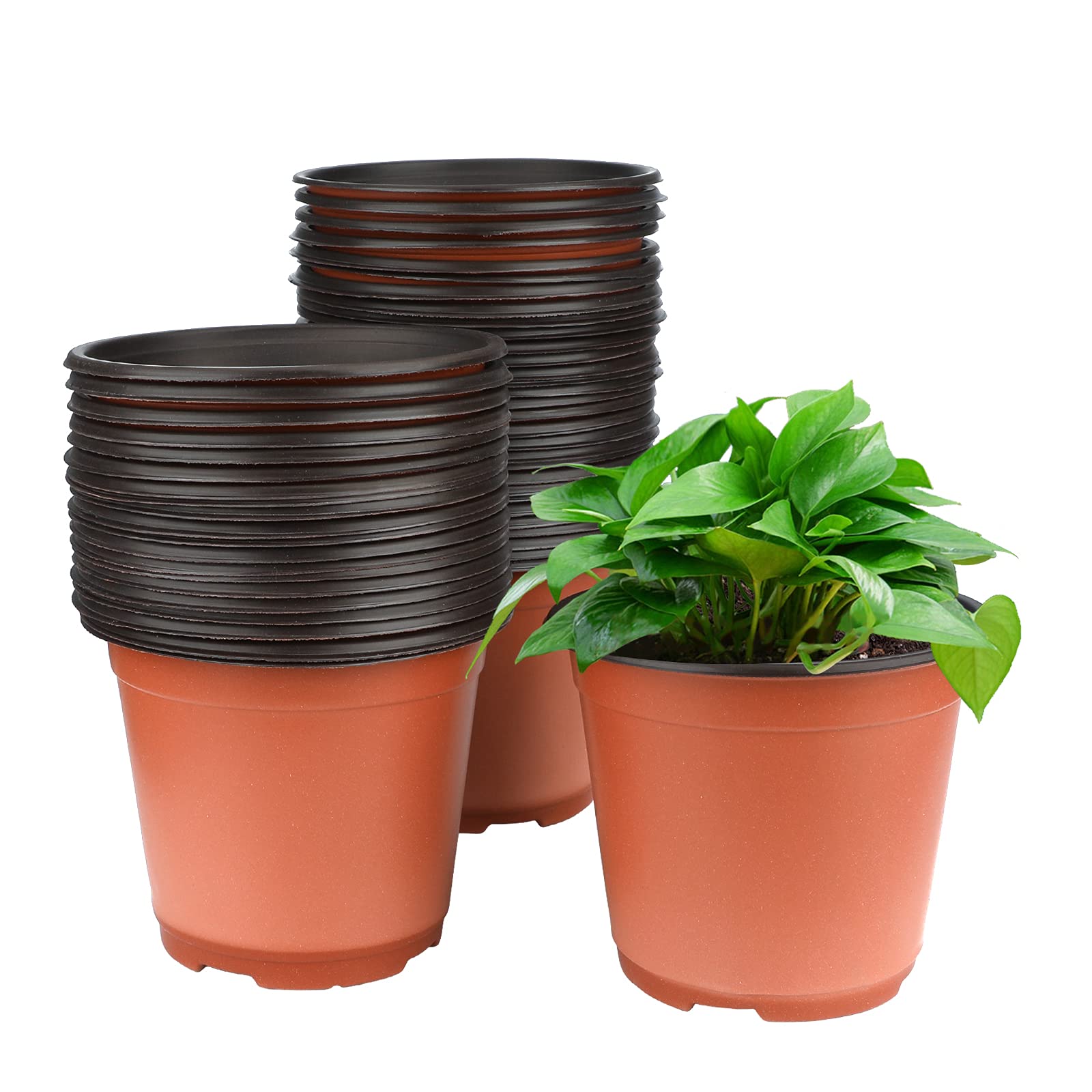 KINGLAKE 6-inch seedling pot opening view promotes easy seed starting.