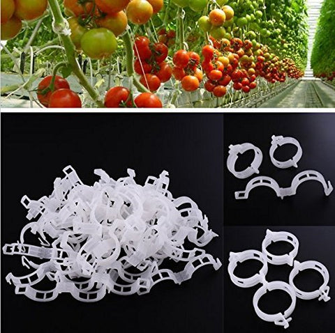 KINGLAKE bean-support clip showcases versatility for small stems