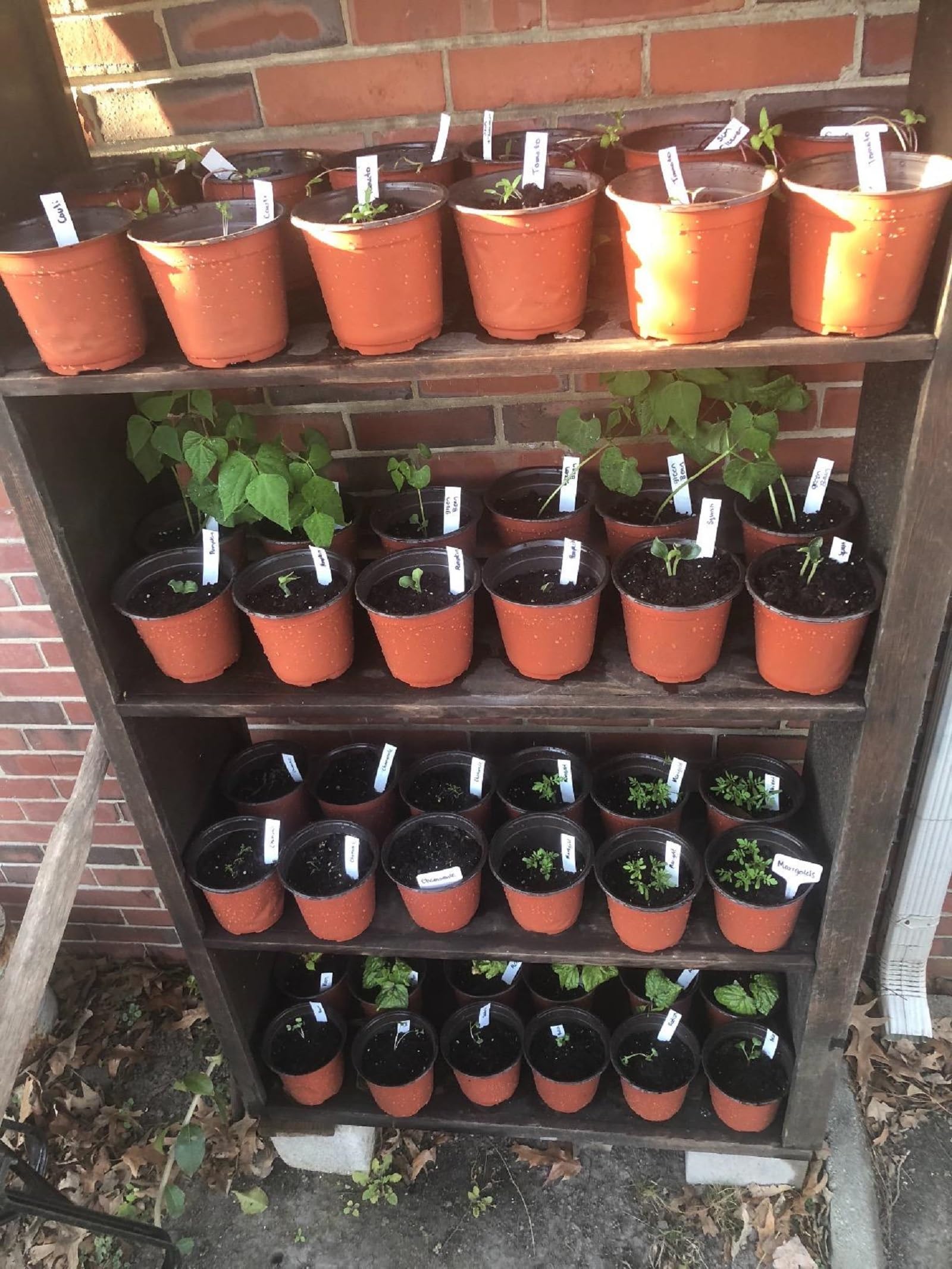 KINGLAKE bottom diameter 6.5 cm ensures stable base.