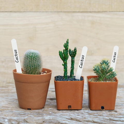 KINGLAKE durable identification stakes for garden beds and containers