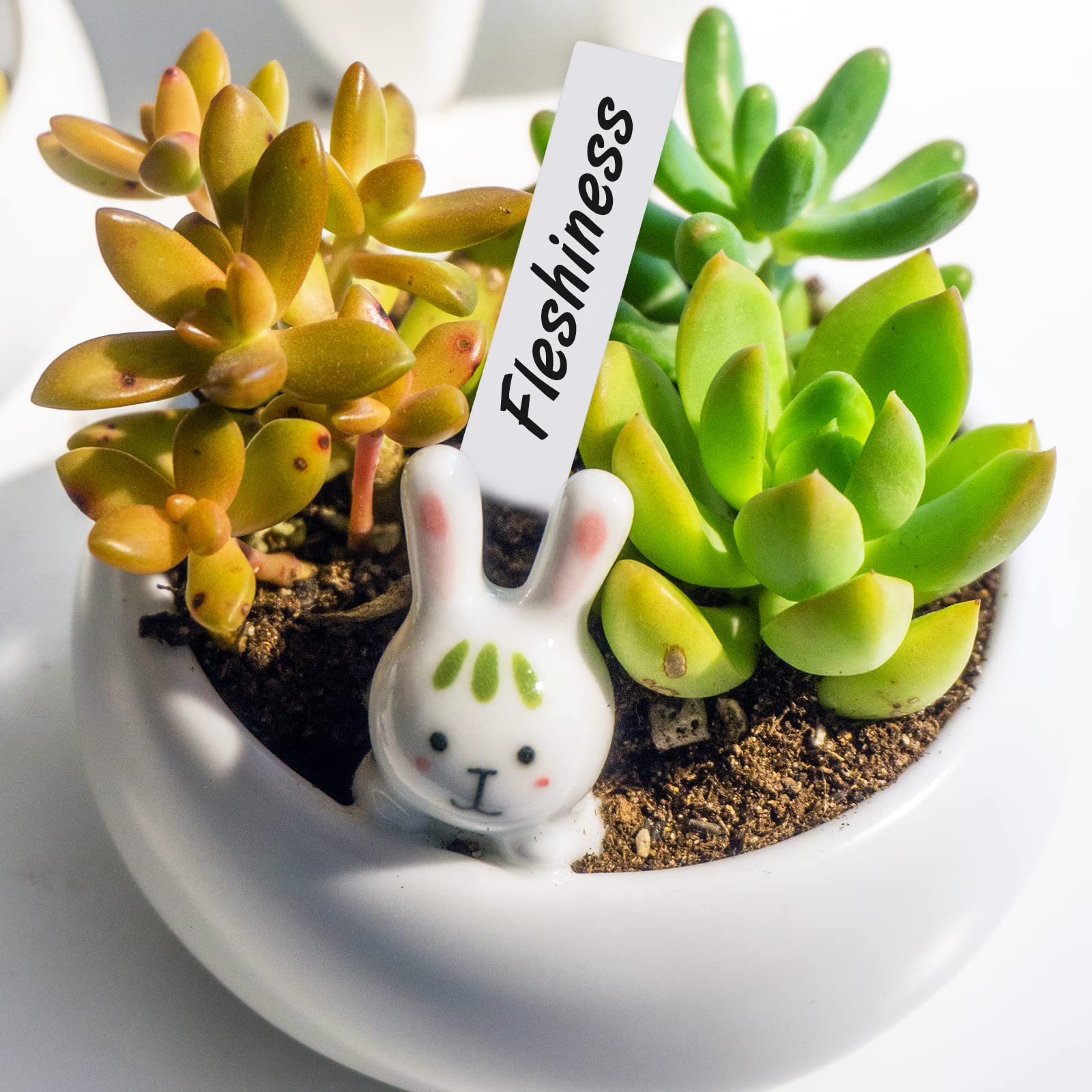 KINGLAKE easy-insert plant tags simplify garden labeling