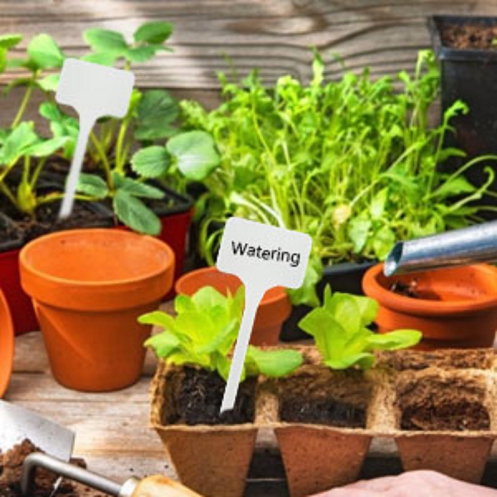 KINGLAKE GARDEN 50-pack packaging tags for easy garden organization.