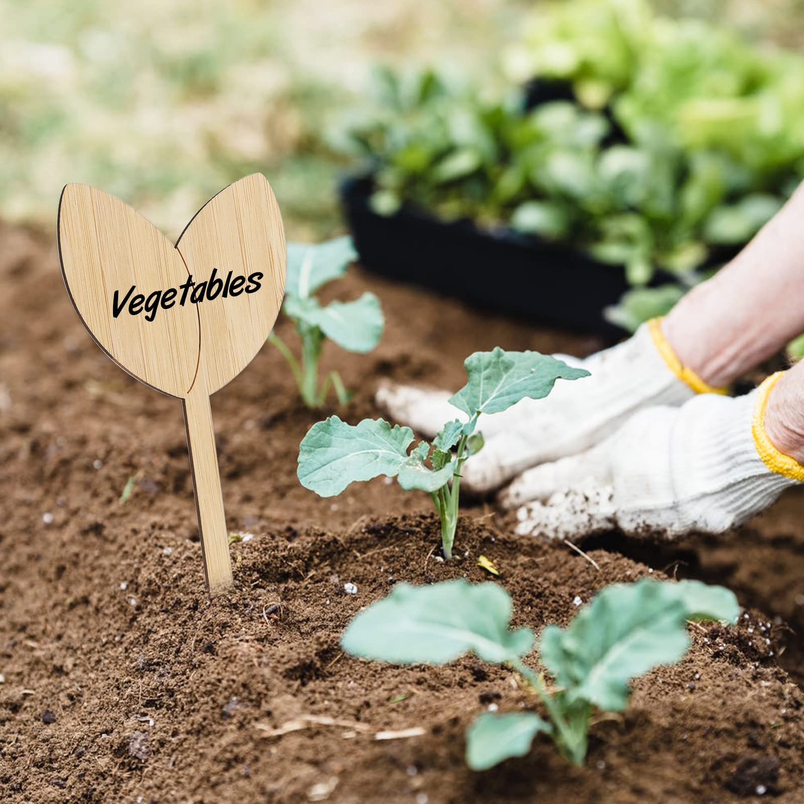 KINGLAKE GARDEN durable, reusable labels withstand outdoor use.
