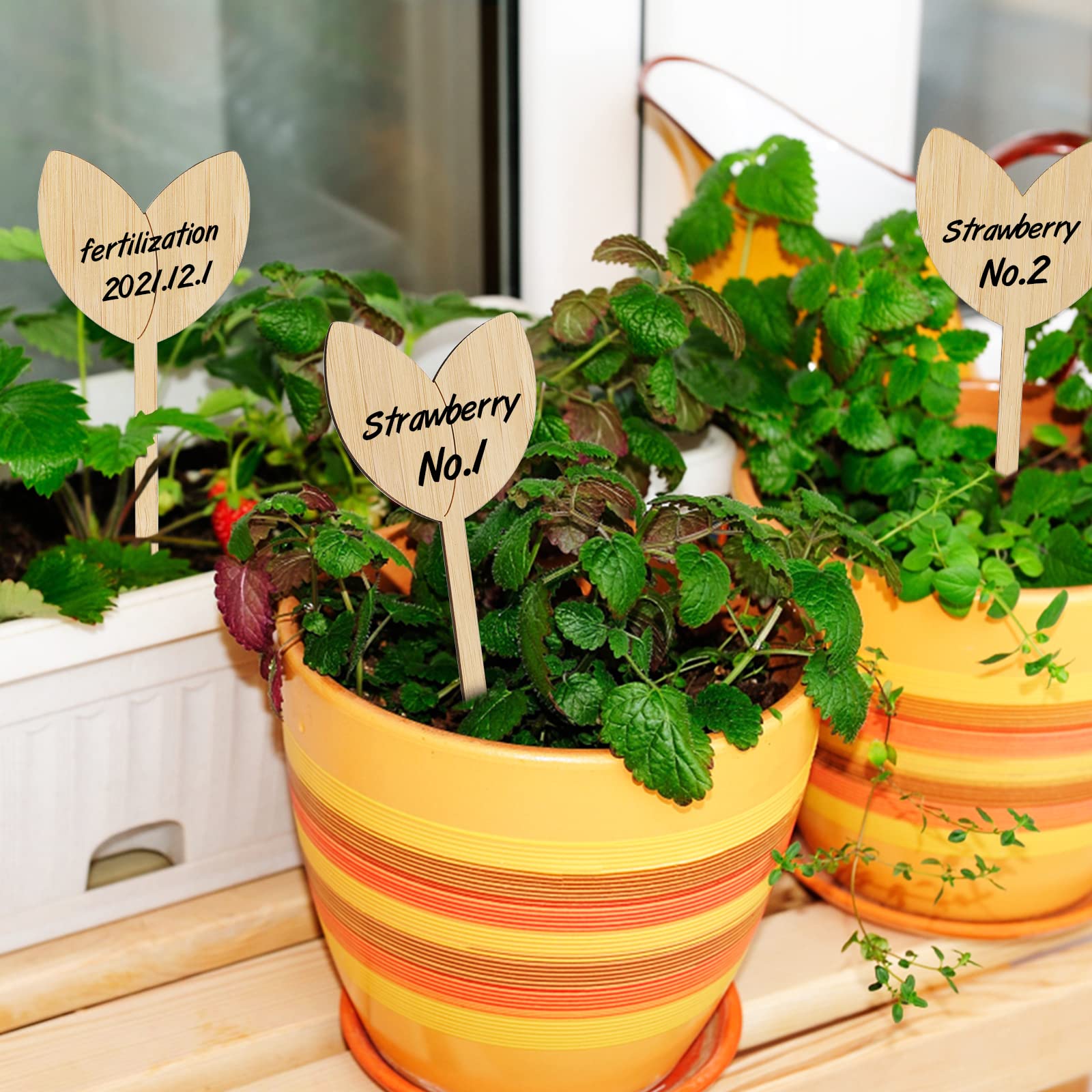 KINGLAKE GARDEN writing on both sides enables flexible labeling options.
