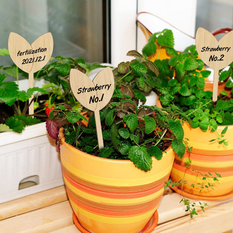 KINGLAKE GARDEN writing on both sides enables flexible labeling options.