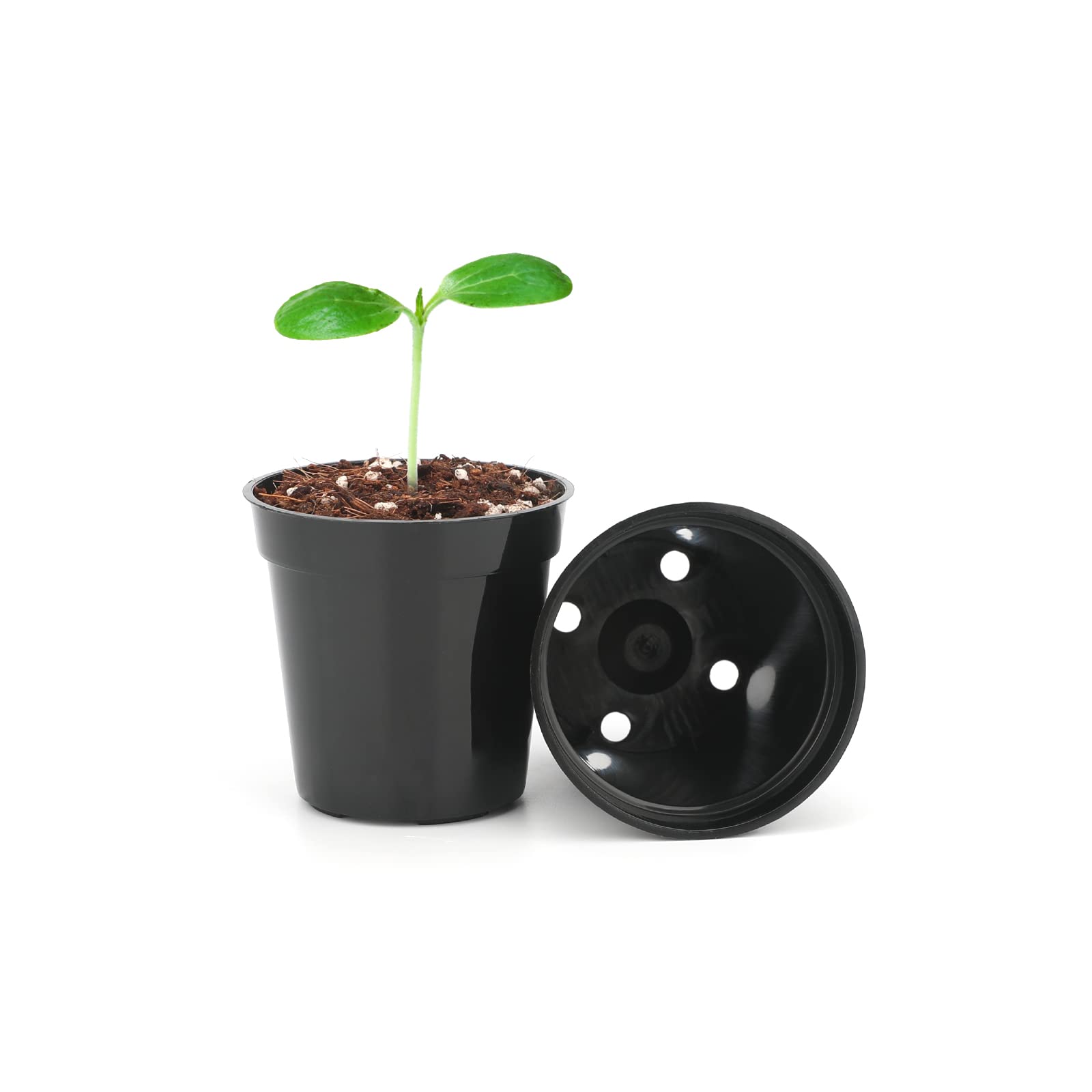KINGLAKE GARDEN black plastic pot closeup highlighting durable construction