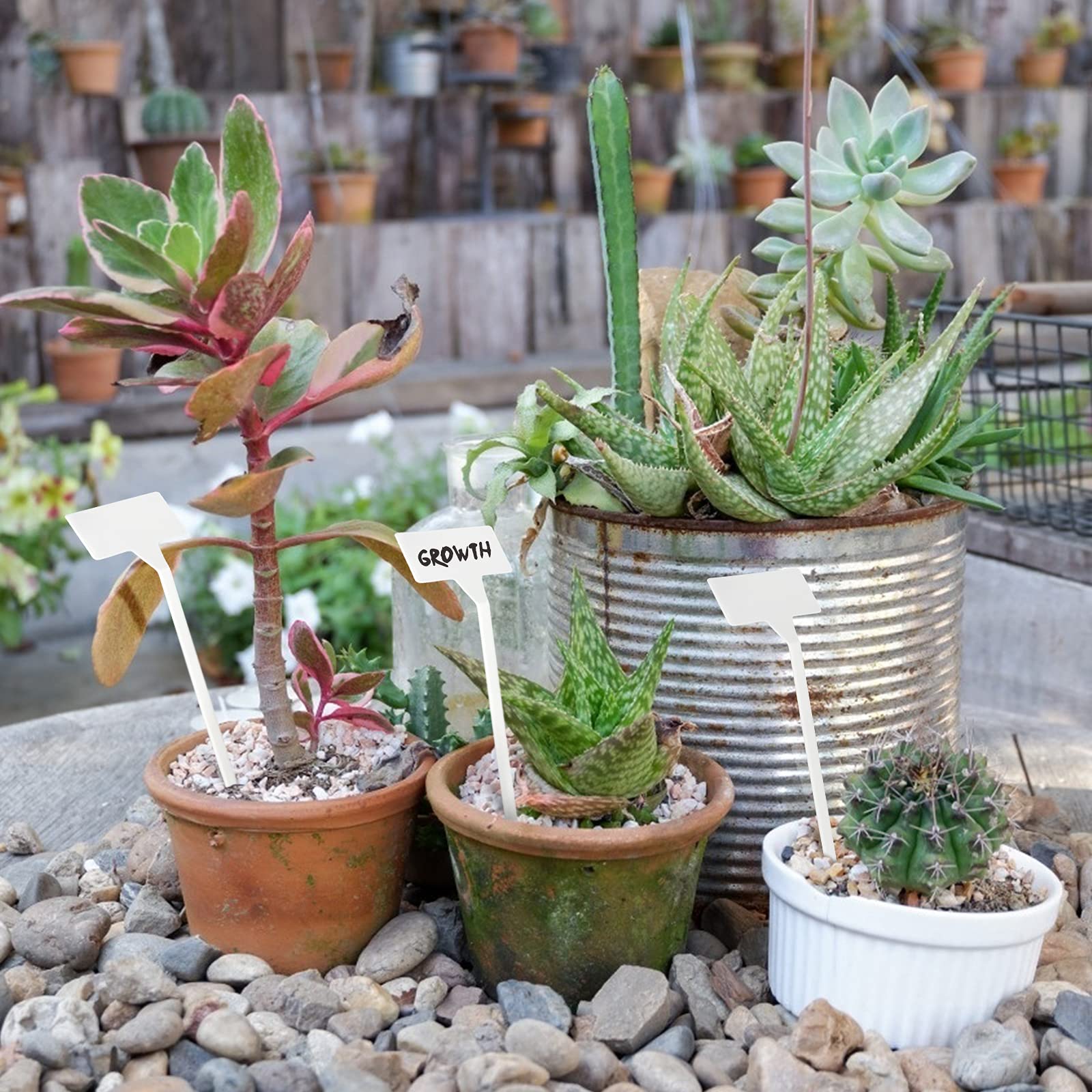 KINGLAKE GARDEN durable reusable labels resist moisture and wear.