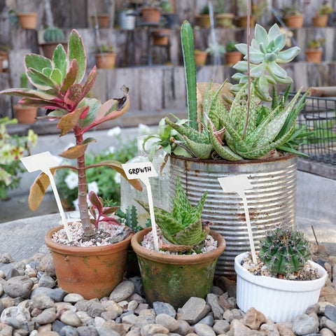 KINGLAKE GARDEN durable reusable labels resist moisture and wear.