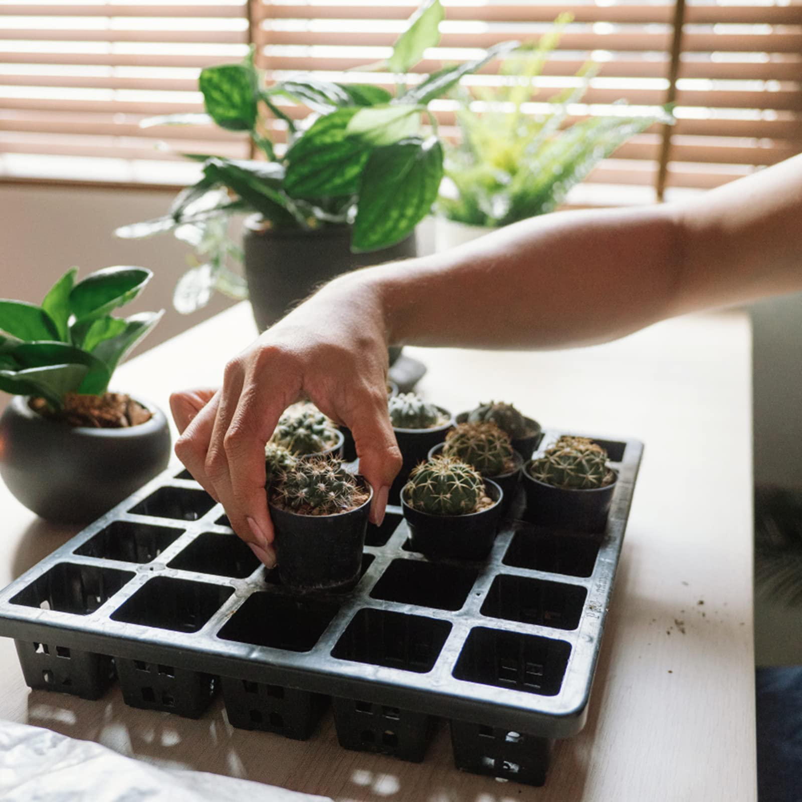KINGLAKE GARDEN indoor outdoor mini planters for windowsill gardens